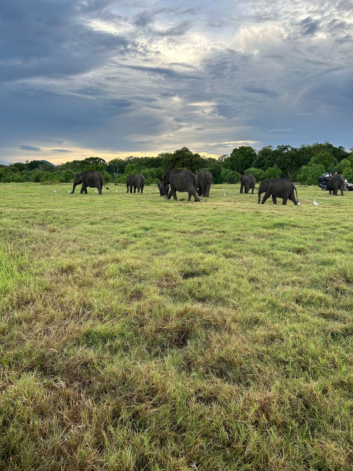 WhatsApp Image 2025-06-07 at 8.08.03 AM