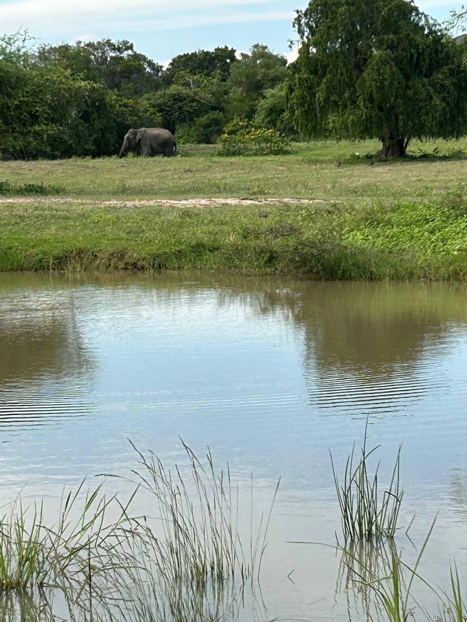 WhatsApp Image 2025-06-09 at 9.20.43 AM