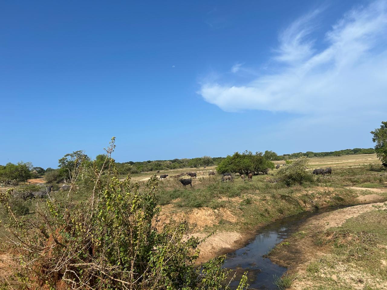 WhatsApp Image 2025-06-09 at 9.20.45 AM